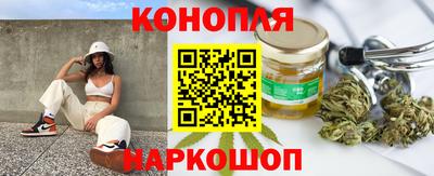 прущие грибы Абакан