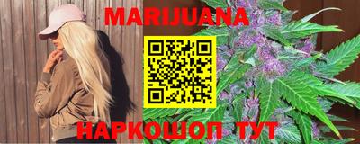 прущие грибы Абакан