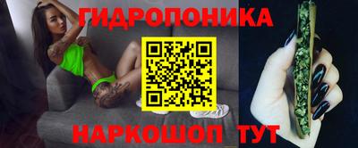 прущие грибы Абакан