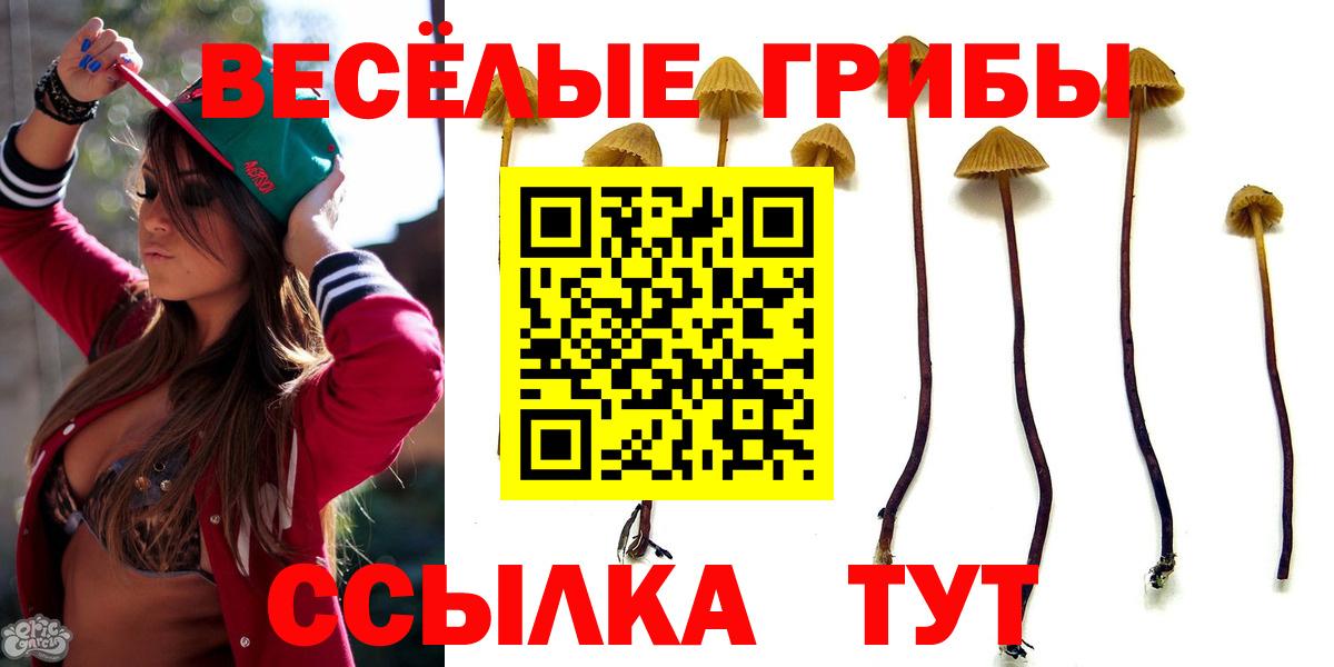 Псилоцибиновые грибы Magic Shrooms Алушта
