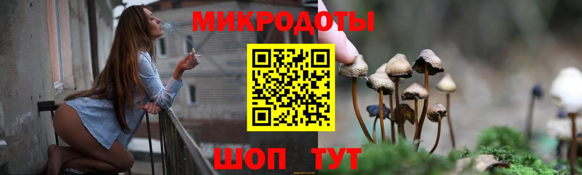 закладки  Псилоцибиновые грибы Psilocybe  Вход с VPN  Псилоцибиновые грибы Psilocybe  Алушта 